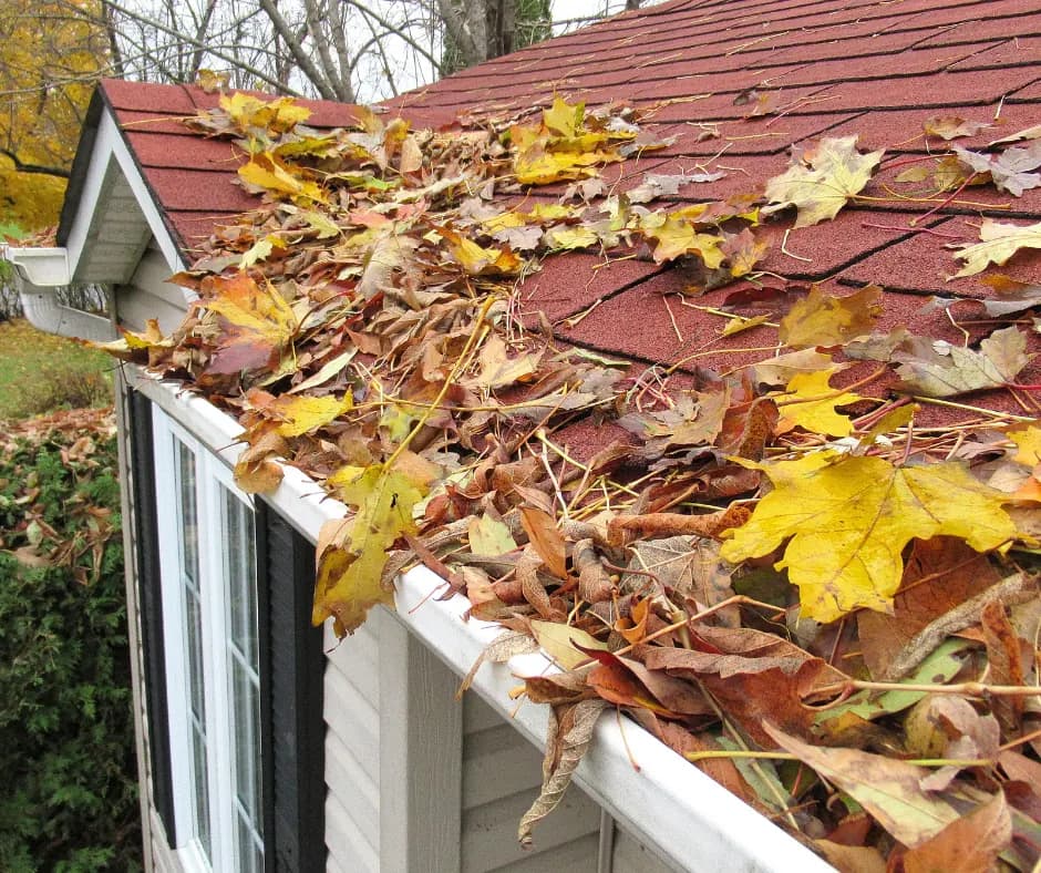 property maintenance